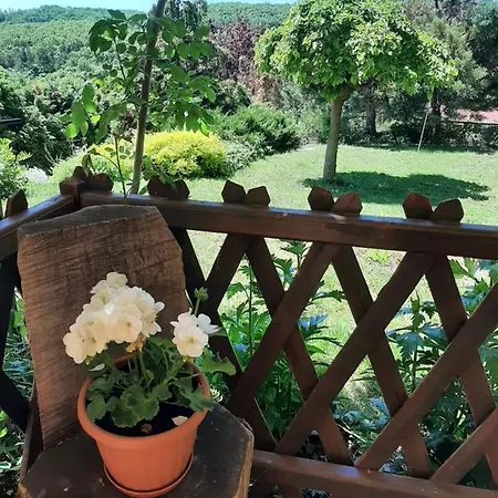 Forras-hegyi Apartman